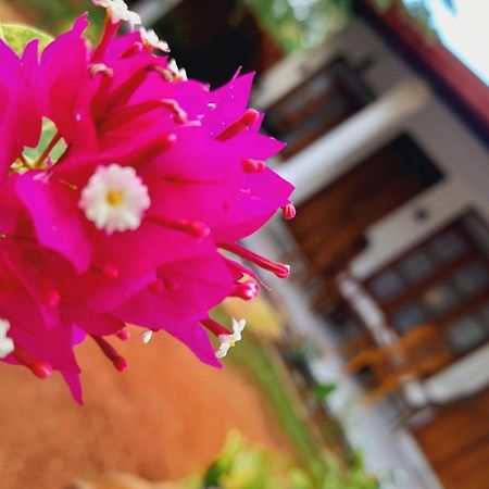 The Cozy Cottage هاباران المظهر الخارجي الصورة