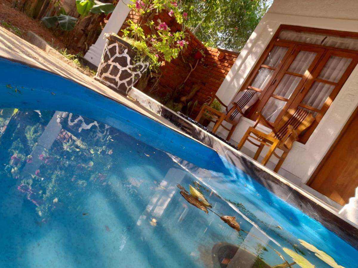 The Cozy Cottage هاباران المظهر الخارجي الصورة