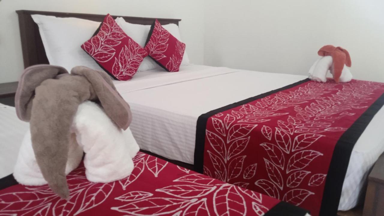The Cozy Cottage هاباران المظهر الخارجي الصورة