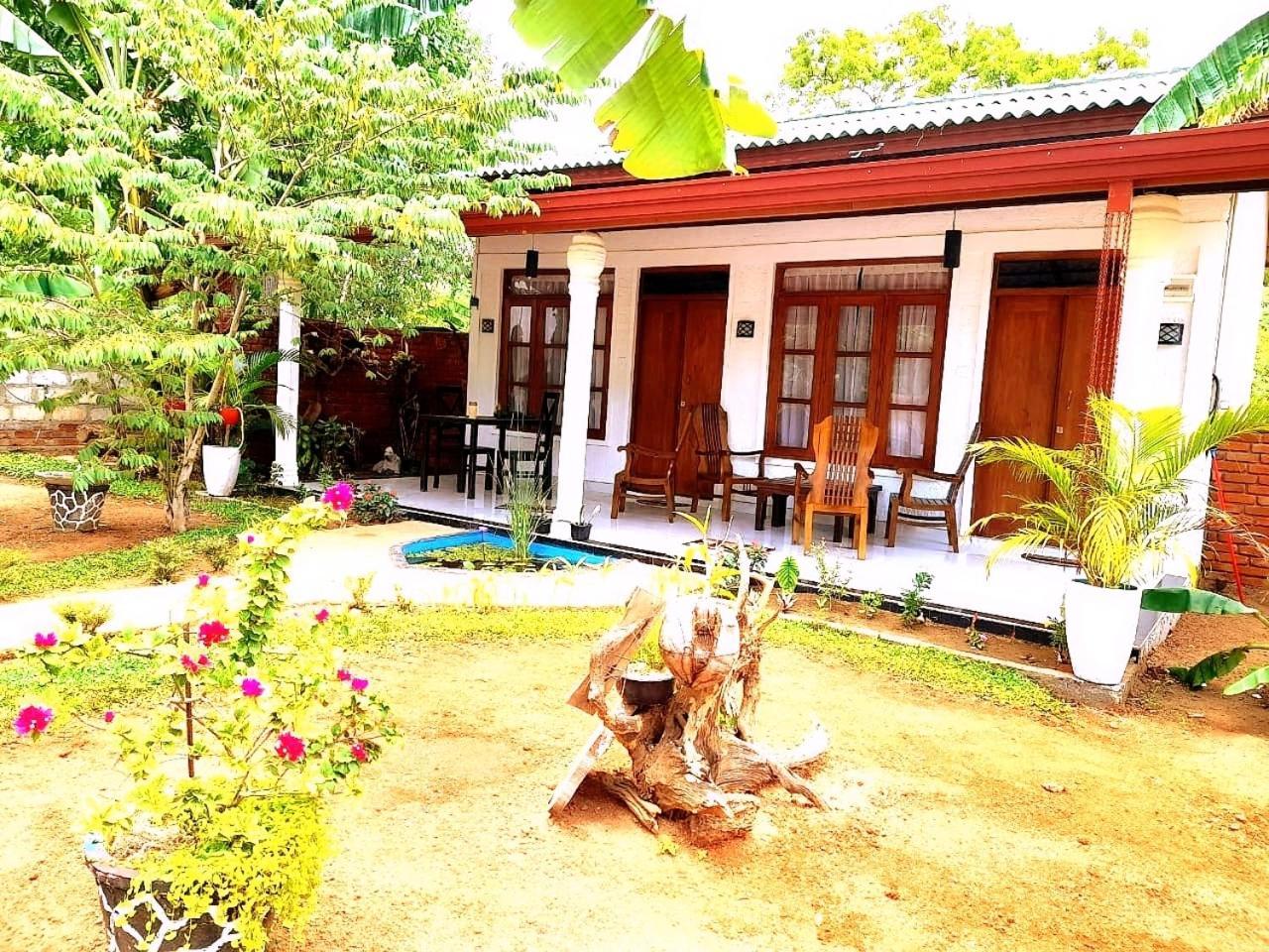 The Cozy Cottage هاباران المظهر الخارجي الصورة
