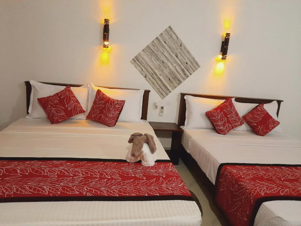 The Cozy Cottage هاباران المظهر الخارجي الصورة